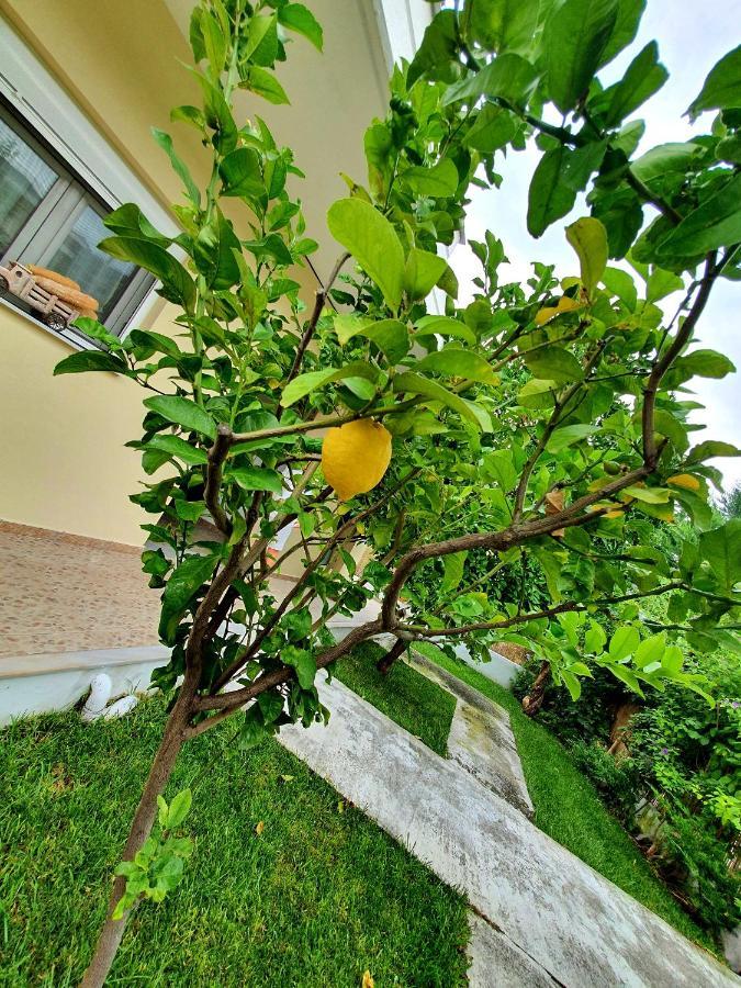 Apartamenty Rodzinne Kaména Vúrla Kültér fotó